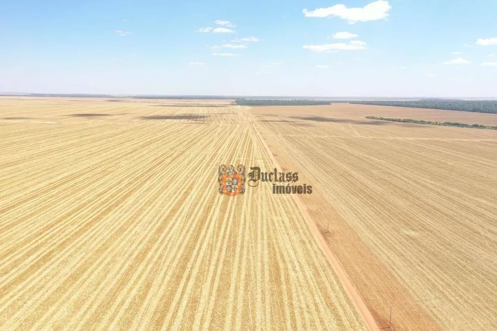 Fazenda, 7236 hectares - Foto 6