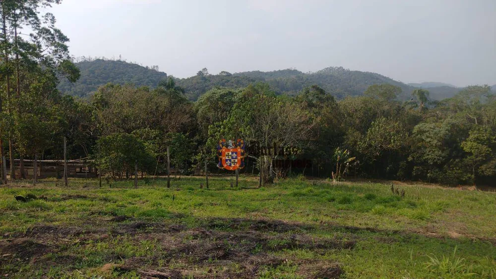 Sítio, 15 hectares - Foto 7