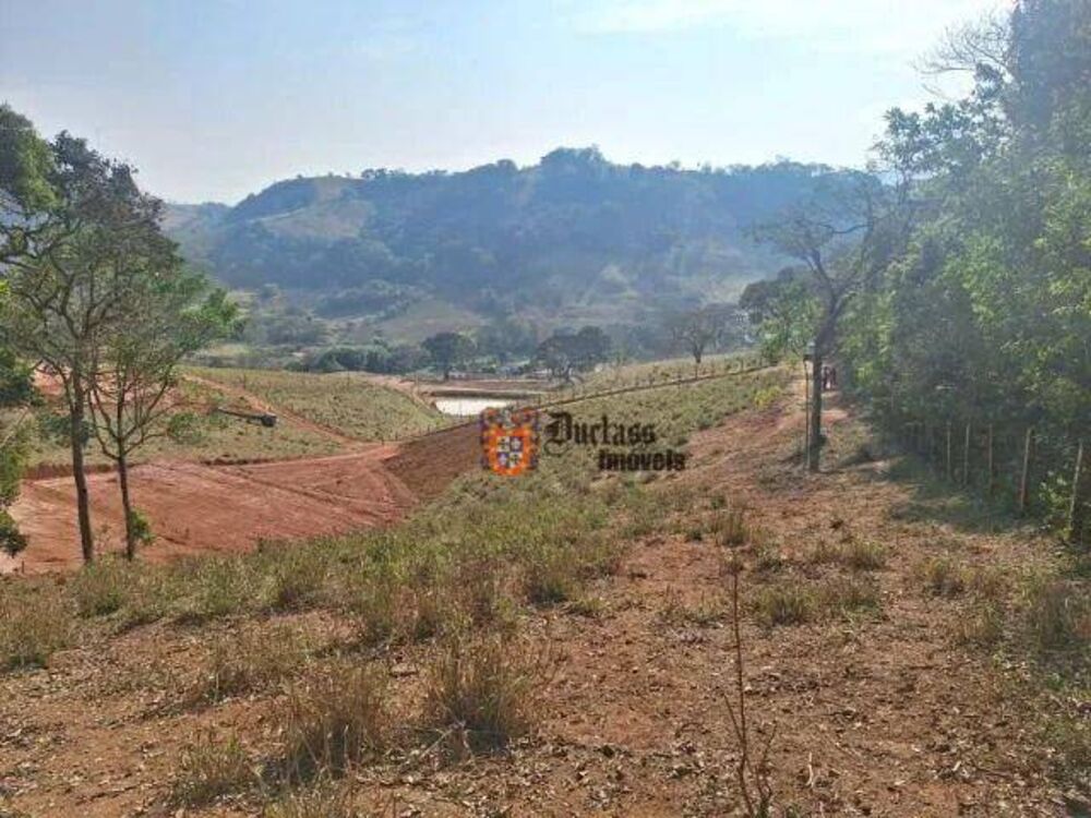 Terreno, 2 hectares - Foto 2