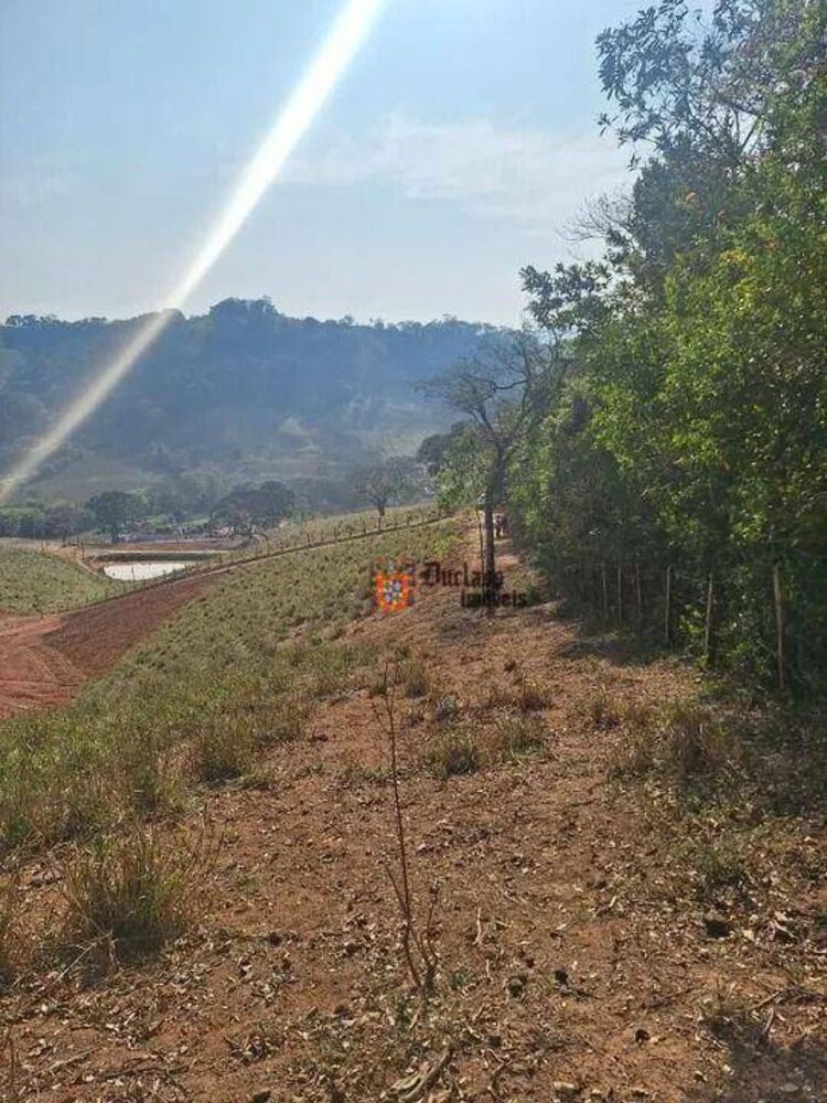 Terreno, 2 hectares - Foto 3