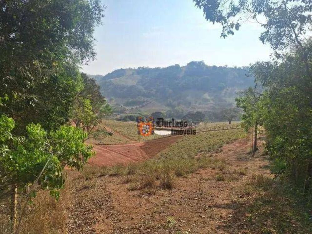 Terreno, 2 hectares - Foto 1