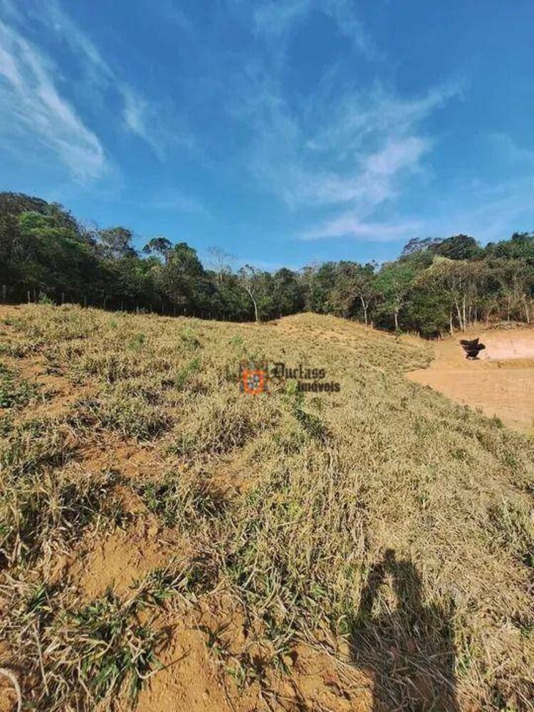 Terreno, 2 hectares - Foto 4