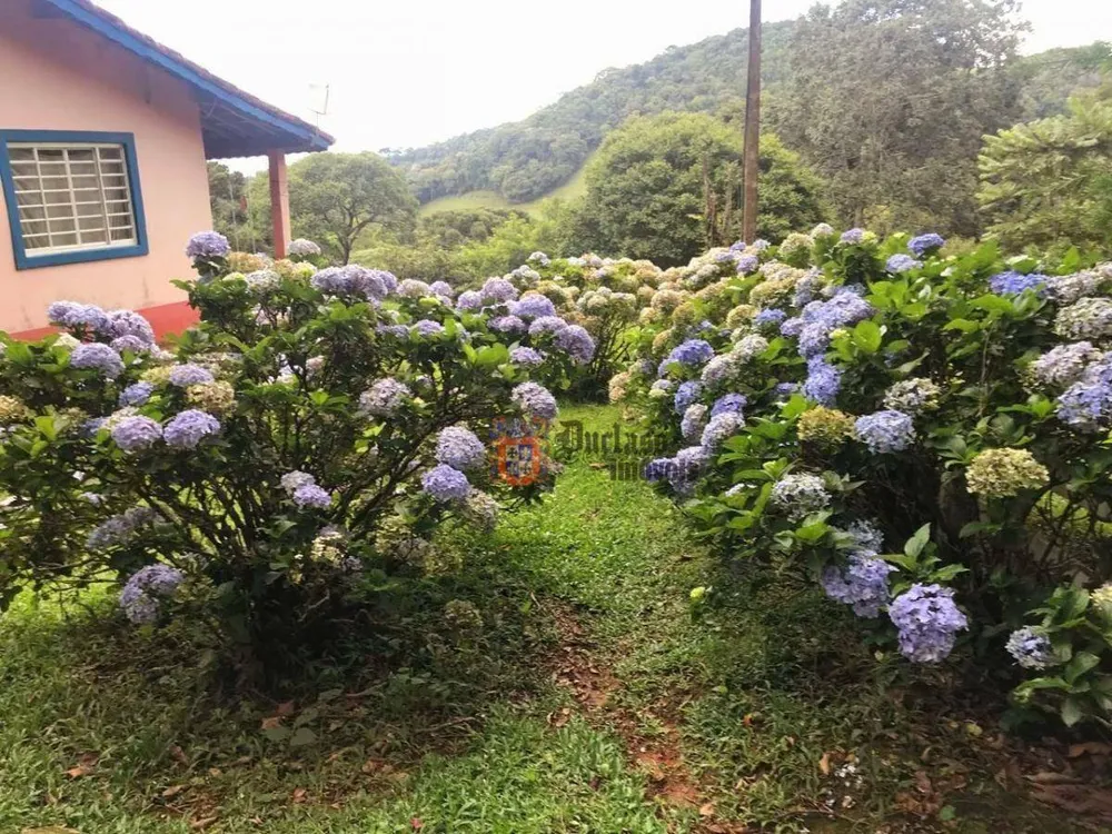 Sítio, 7 quartos, 11 hectares - Foto 4
