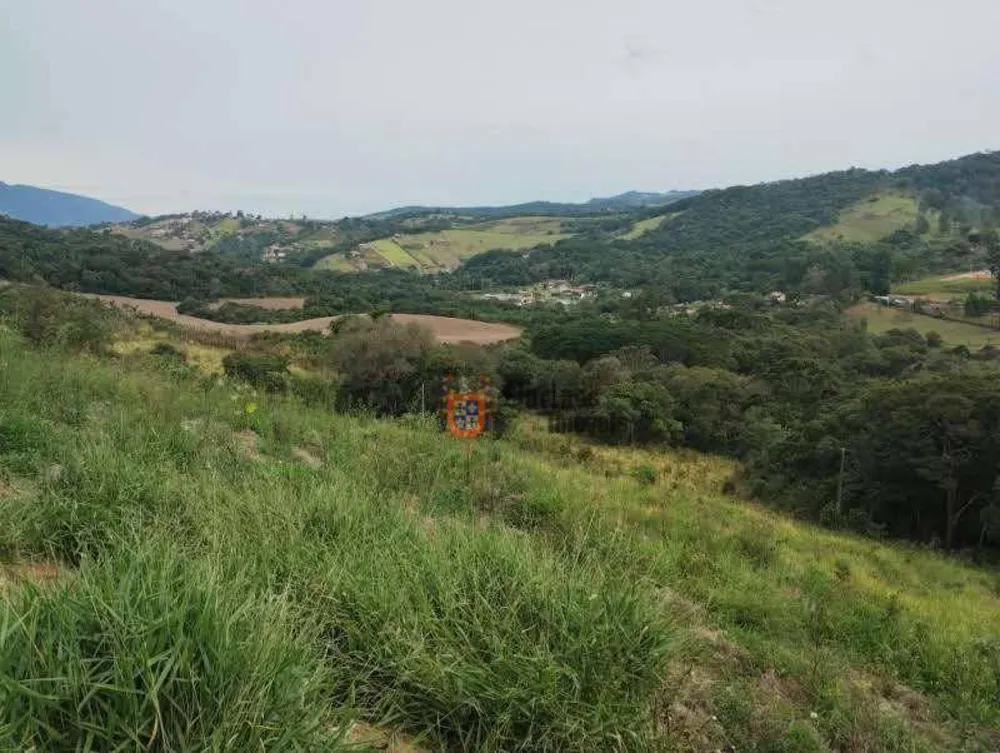 Terreno, 8000 m² - Foto 1