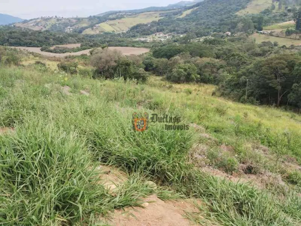 Terreno, 8000 m² - Foto 4