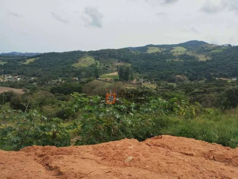 Terreno, 8000 m² - Foto 8
