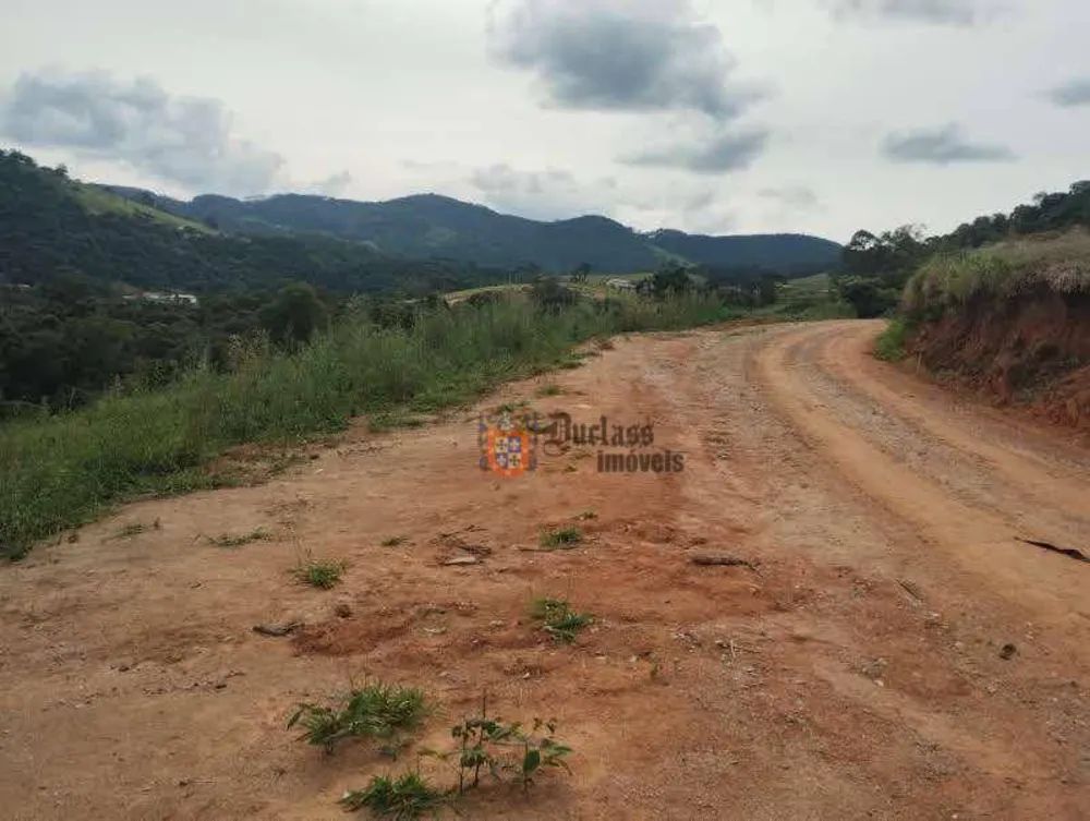 Terreno, 8000 m² - Foto 6