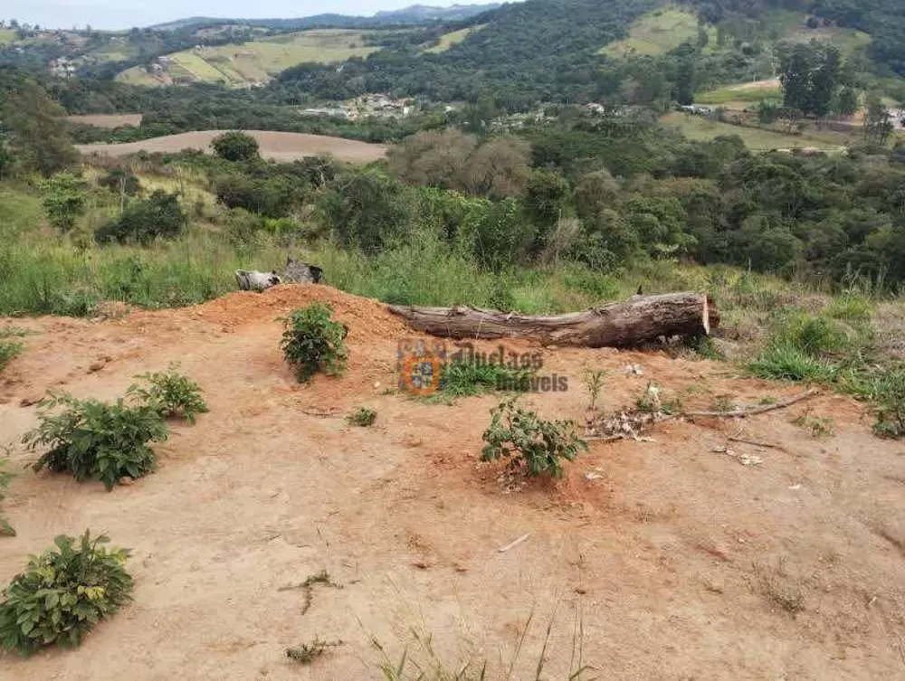 Terreno, 8000 m² - Foto 5