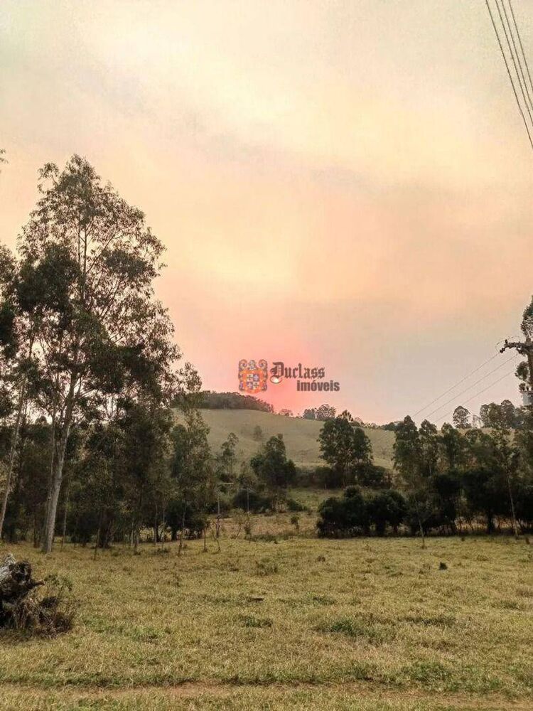 Terreno, 2 hectares - Foto 2