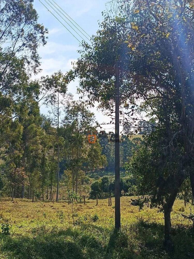 Terreno, 2 hectares - Foto 6