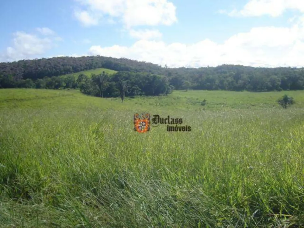 Terreno, 19 hectares - Foto 4