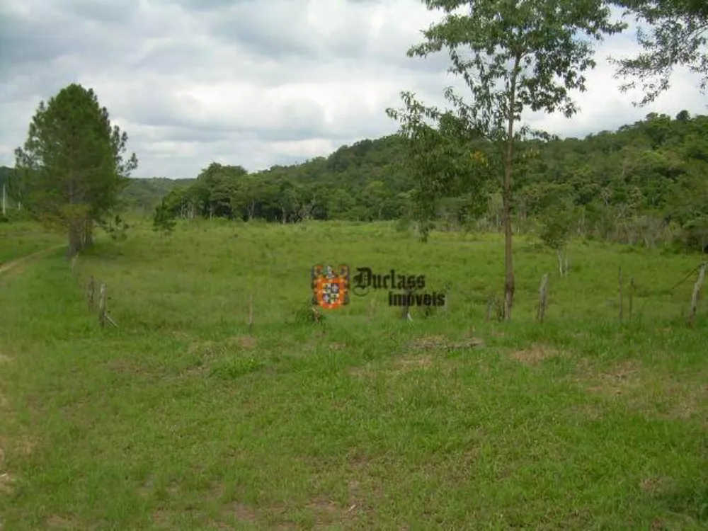 Terreno, 19 hectares - Foto 1