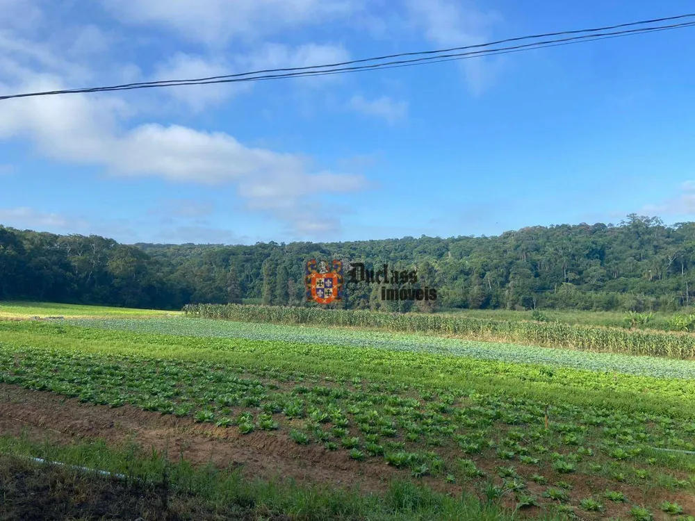 Terreno, 19 hectares - Foto 3