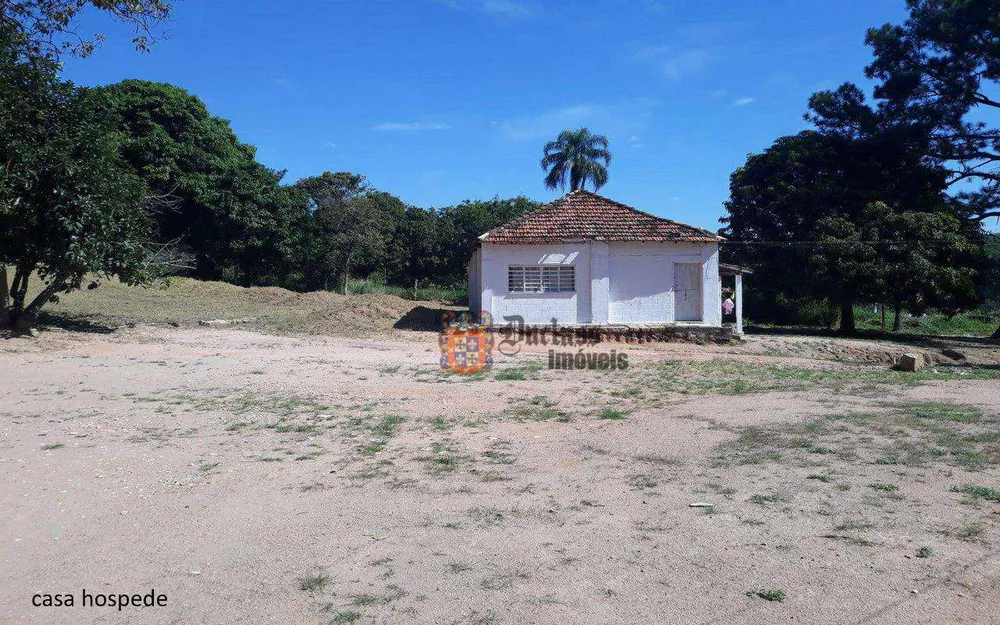 Sítio, 7 quartos, 2 hectares - Foto 4