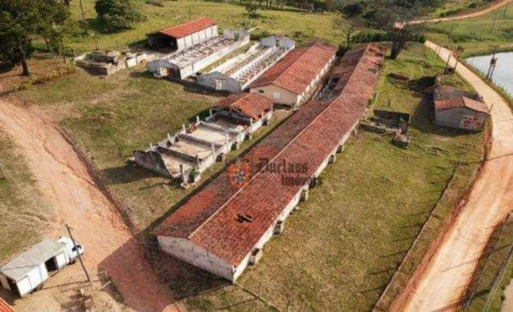 Sítio, 7 quartos, 2 hectares - Foto 2