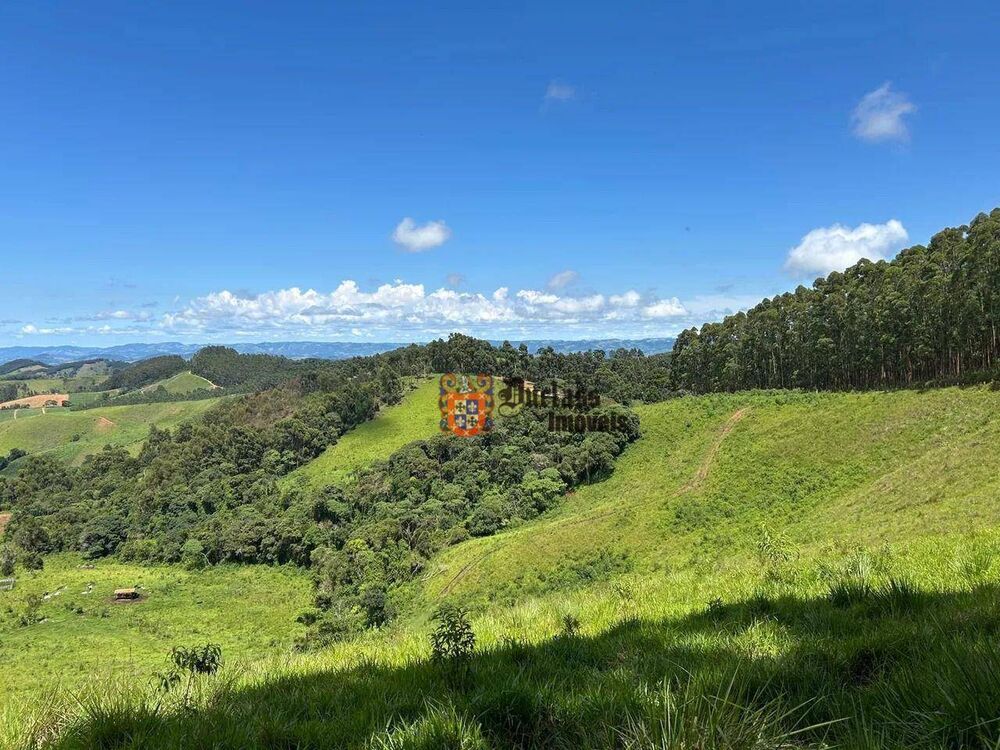 Terreno, 2 hectares - Foto 4