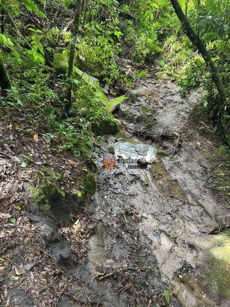 Terreno, 2 hectares - Foto 7