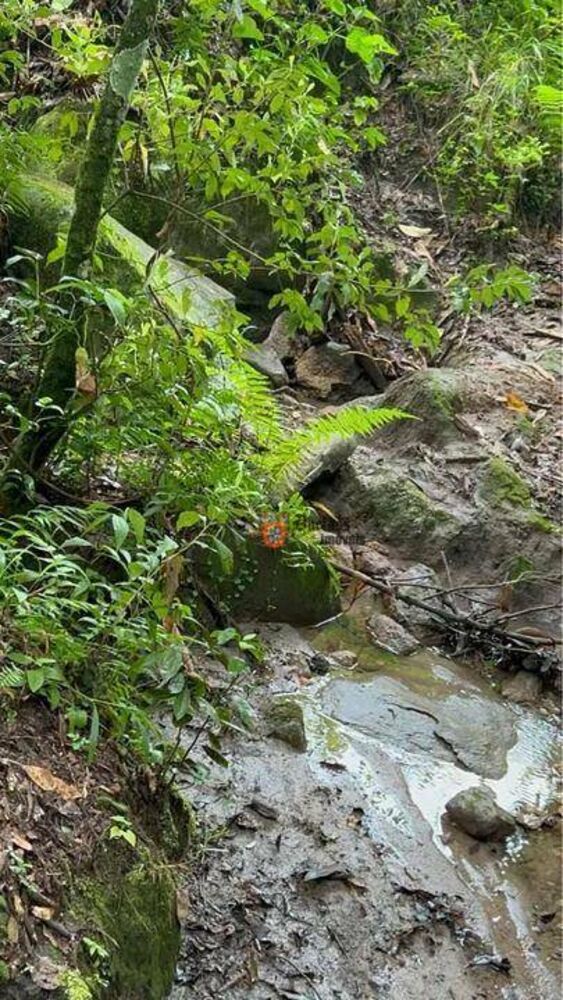 Terreno, 2 hectares - Foto 2