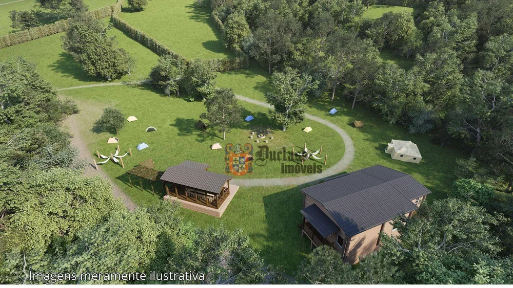 Terreno, 2 hectares - Foto 4