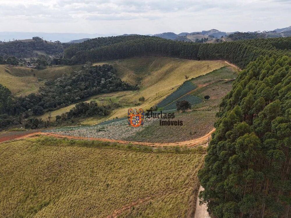 Terreno, 2 hectares - Foto 5