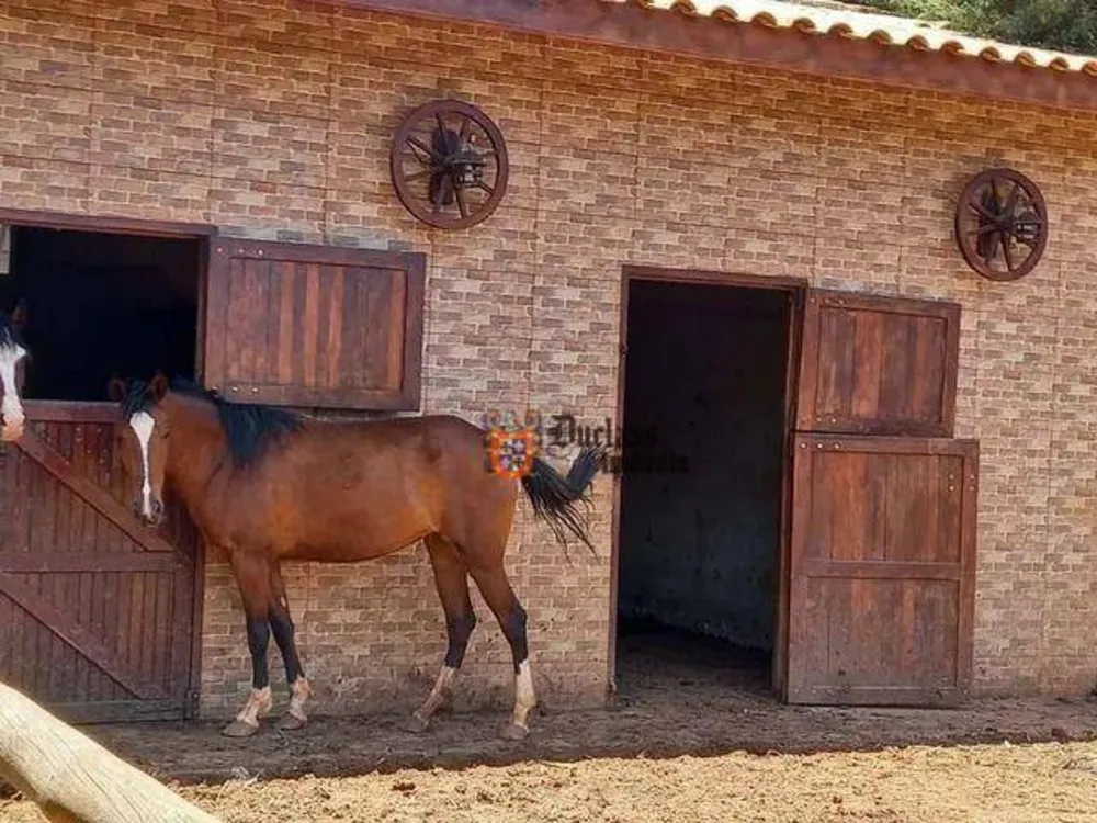 Chácara, 4 quartos, 5664 m² - Foto 3