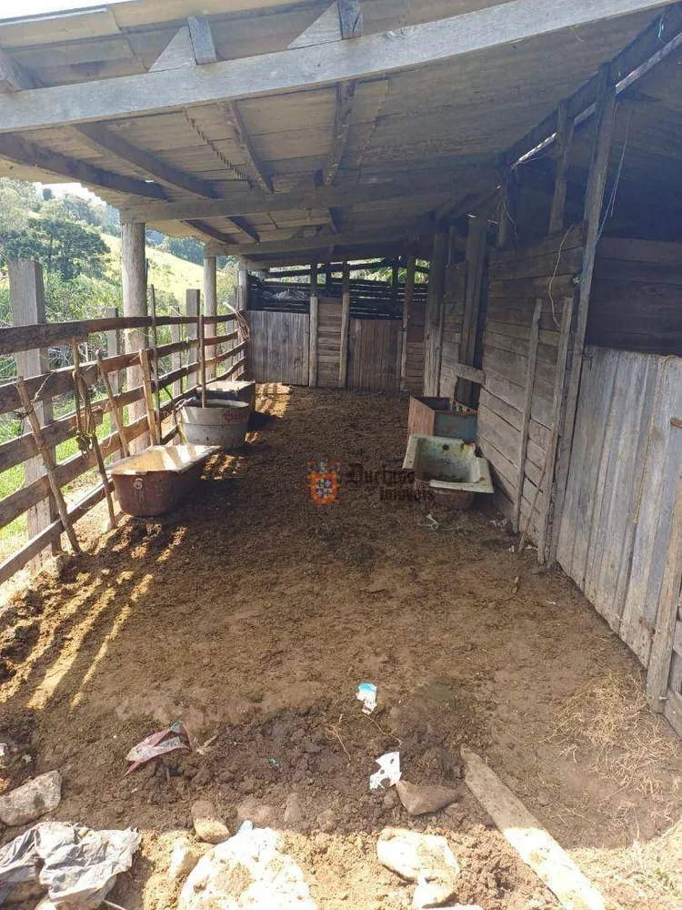 Chácara, 4 quartos, 2 hectares - Foto 4