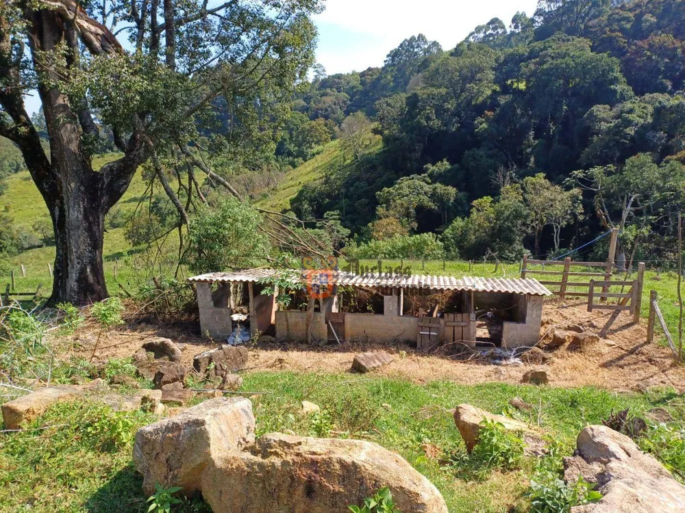 Chácara, 4 quartos, 2 hectares - Foto 3
