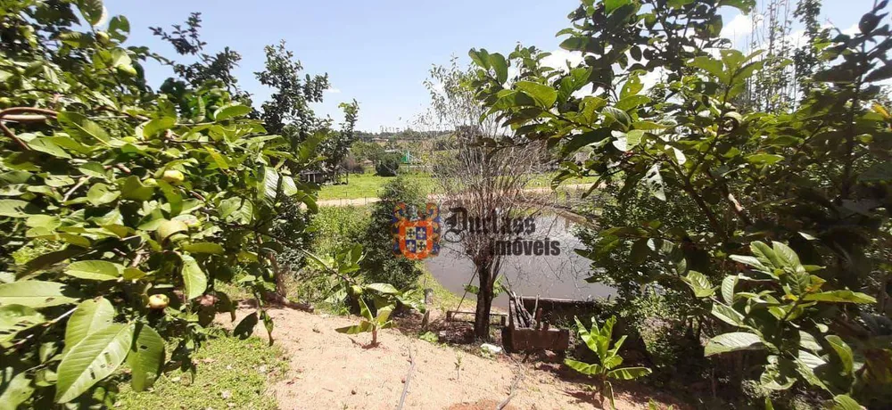 Chácara, 3 quartos, 4300 m² - Foto 7