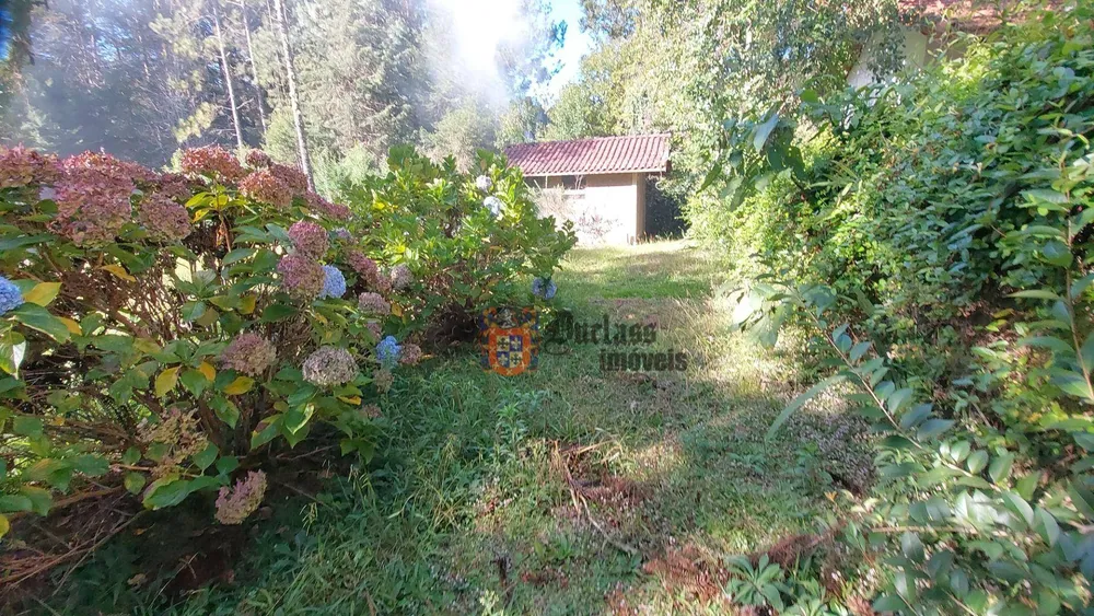 Chácara, 4 quartos, 4000 m² - Foto 3