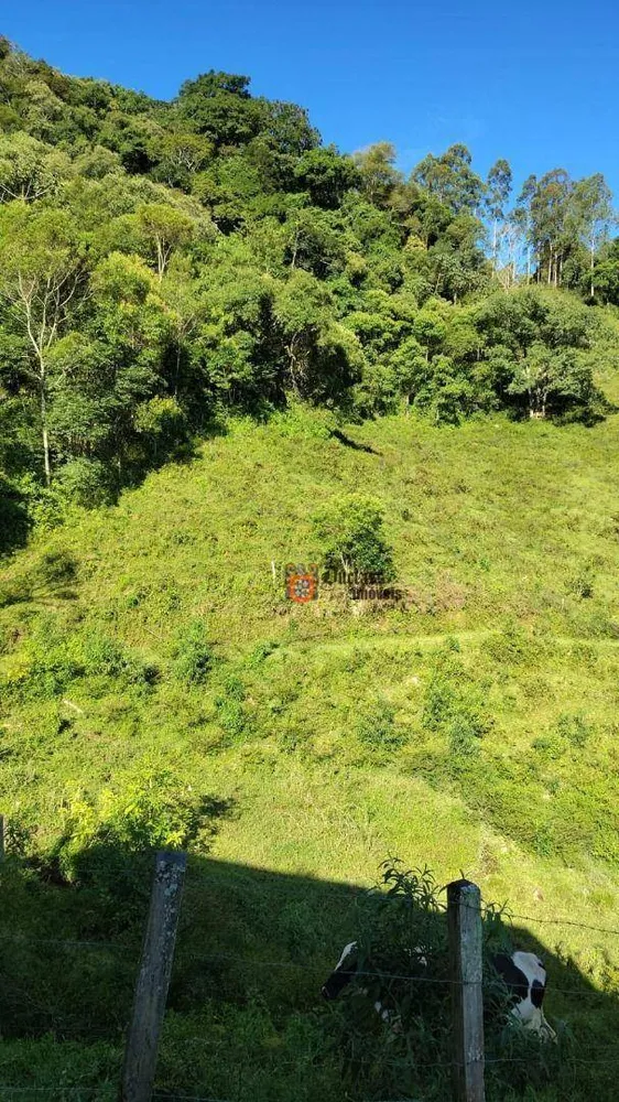 Sítio, 3 quartos, 4 hectares - Foto 16