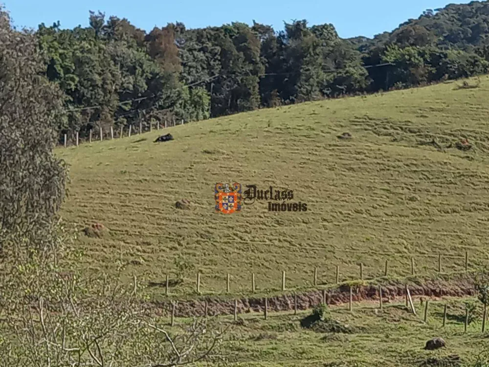 Sítio, 3 quartos, 4 hectares - Foto 2
