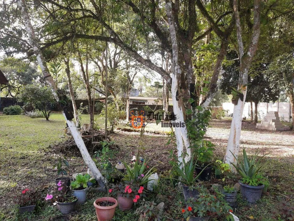 Chácara, 5 quartos, 7000 m² - Foto 6