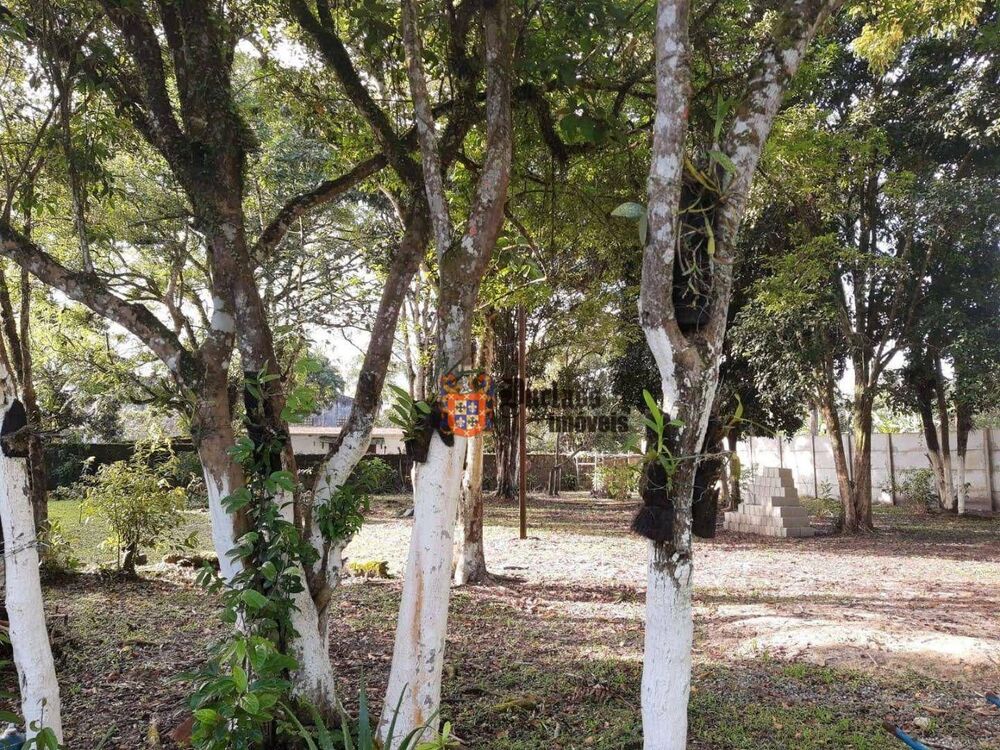 Chácara, 5 quartos, 7000 m² - Foto 7