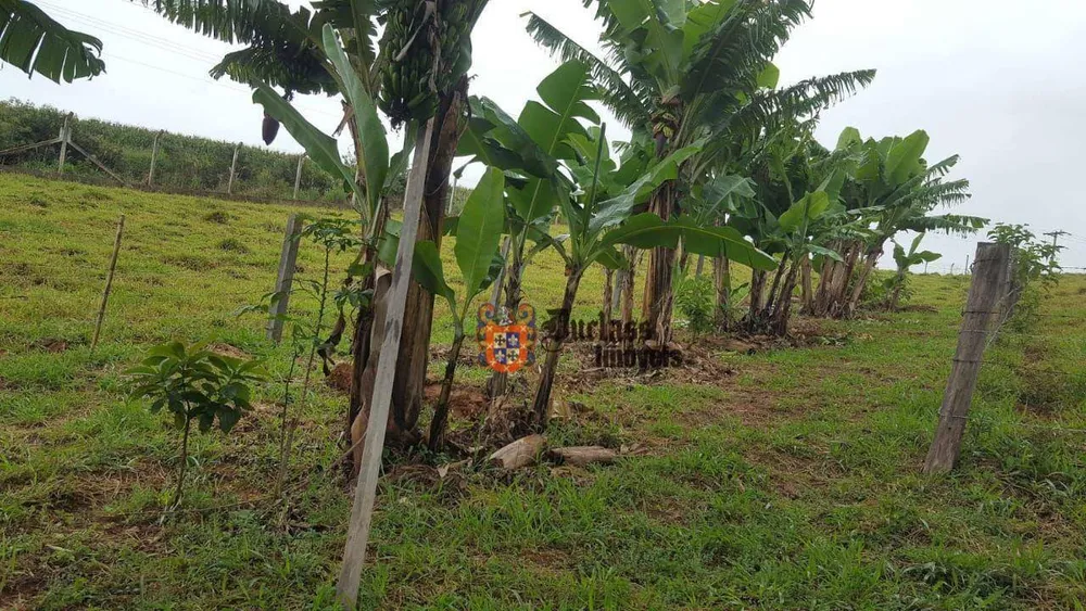 Chácara, 1 quarto, 1 hectares - Foto 15