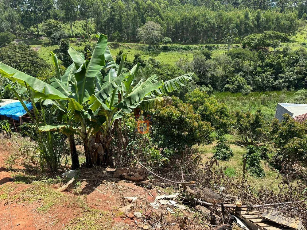 Chácara, 4 quartos, 6000 m² - Foto 1