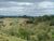 Terreno, 2 hectares - Foto 3