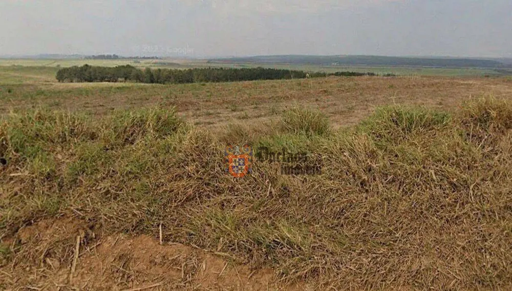Fazenda, 387 hectares - Foto 4