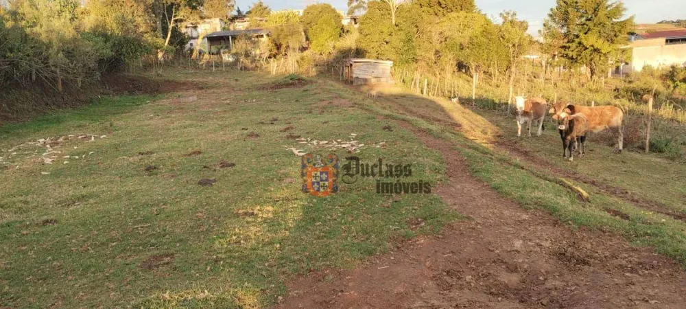 Loteamento e Condomínio, 1000 m² - Foto 3