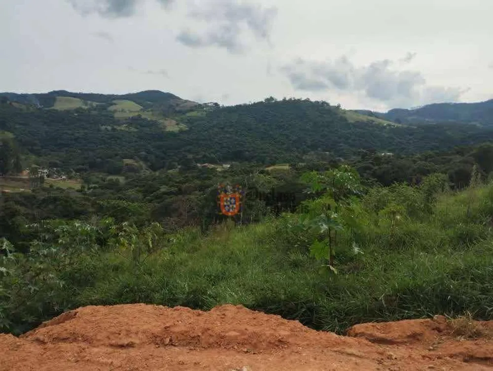 Terreno, 2 hectares - Foto 8