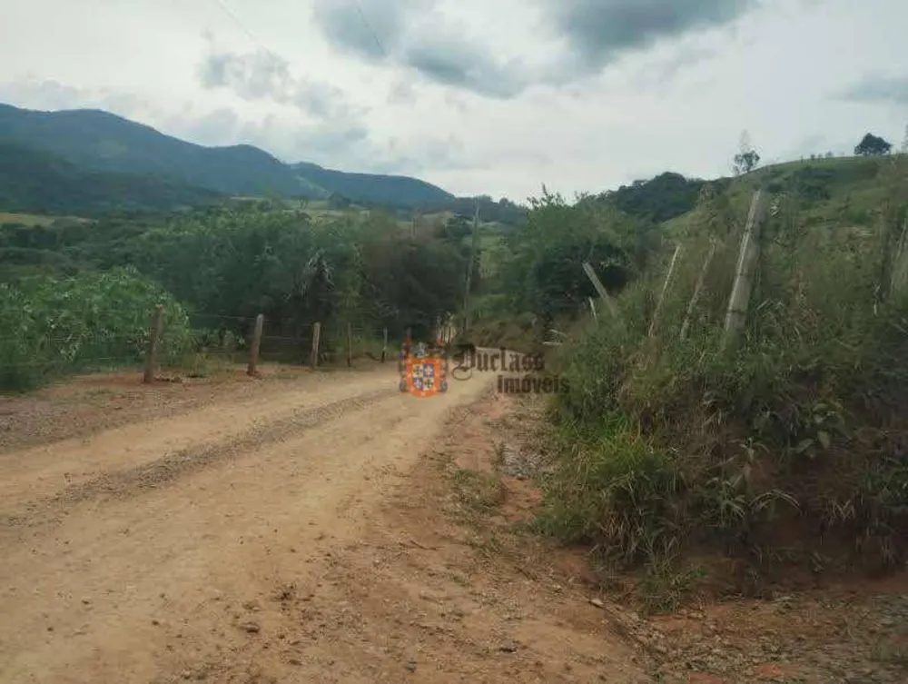 Terreno, 2 hectares - Foto 4