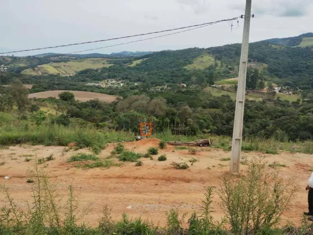 Terreno, 2 hectares - Foto 3