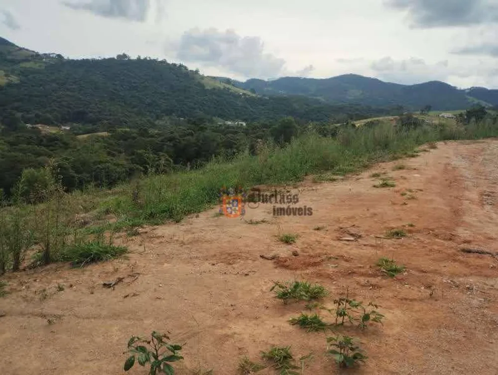 Terreno, 2 hectares - Foto 6