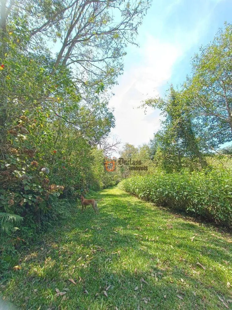 Sítio, 7 quartos, 8 hectares - Foto 7