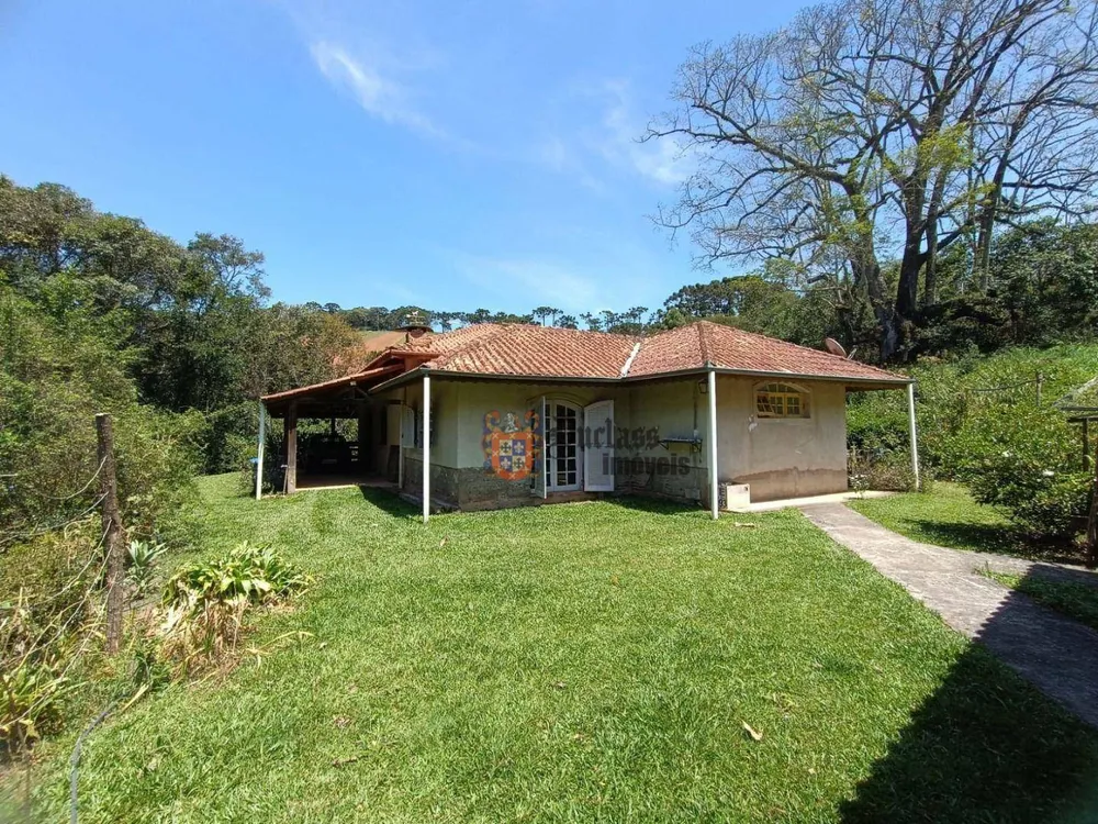 Sítio, 7 quartos, 8 hectares - Foto 6