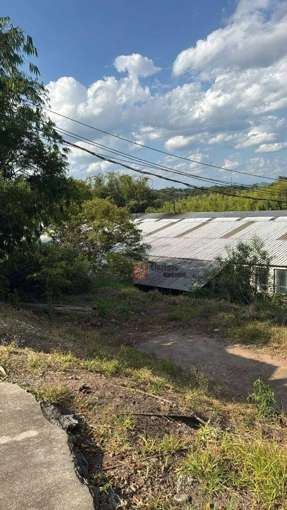 Depósito-Galpão, 5800 m² - Foto 3