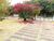 Terreno, 2640 m² - Foto 12