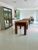Sobrado, 5 quartos, 700 m² - Foto 3
