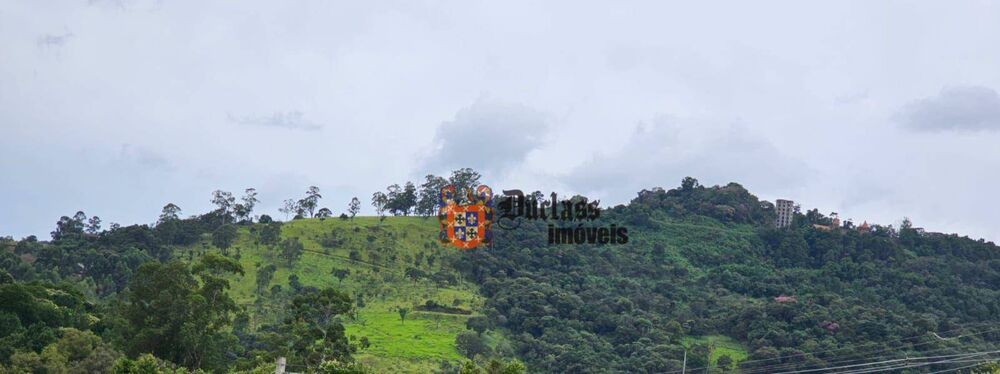 Terreno, 29 hectares - Foto 4