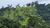 Terreno, 29 hectares - Foto 3
