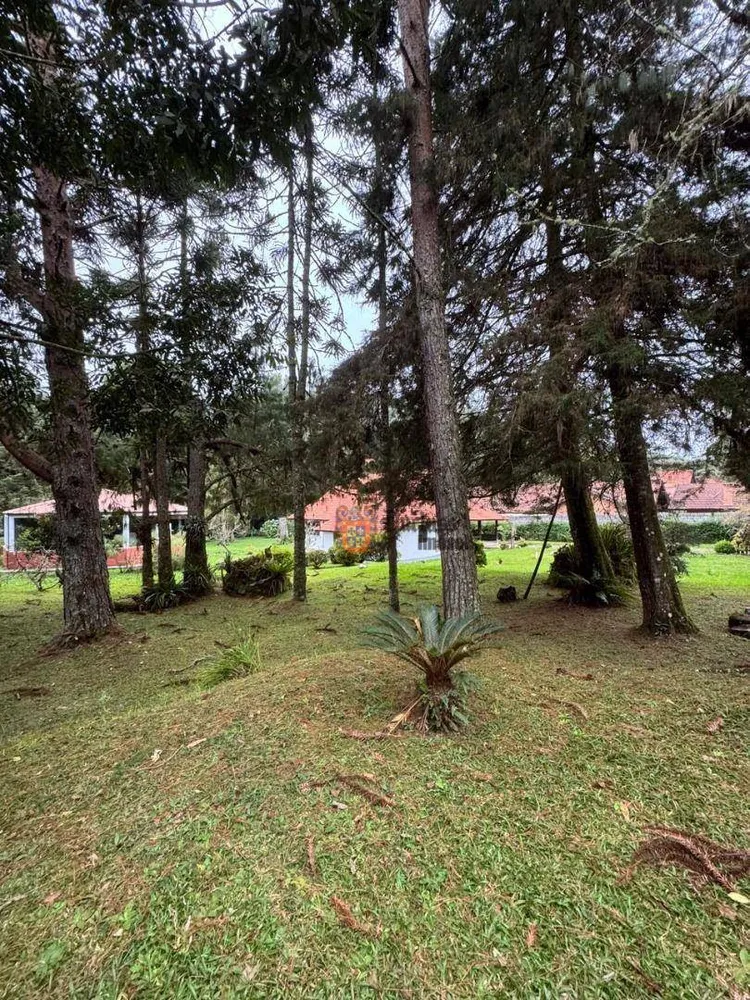 Casa, 4 quartos, 207 m² - Foto 4